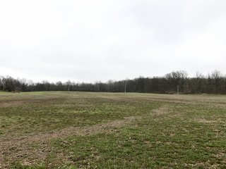 Property photo 4 - LAND AUCTION - 156.63+/- ACRES OFFERED IN 7 TRACTS IN ALLEN COUNTY, INDIANA